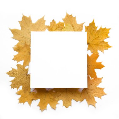 Sarı yaprak çerçeve