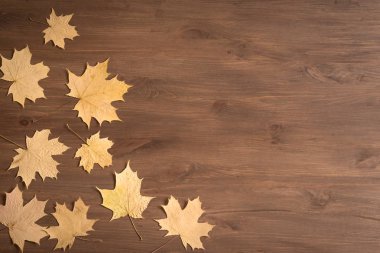 Sarı yapraklar düz yatıyordu