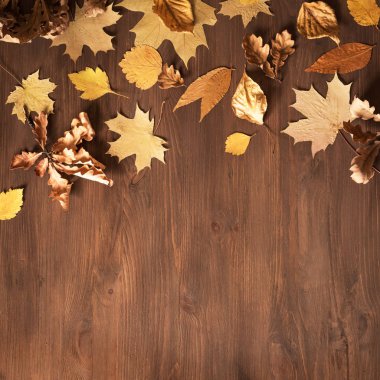 Sarı yapraklar düz yatıyordu