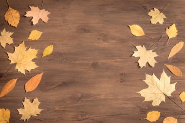 Sarı yapraklar düz yatıyordu