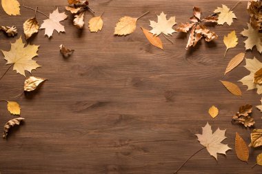 Sarı yapraklar düz yatıyordu