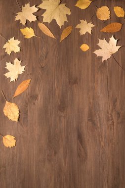 Sarı yapraklar düz yatıyordu