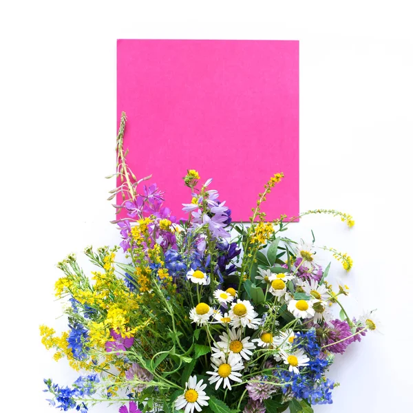 Sommar blommor — Stockfoto