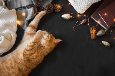 Kış hygge kavramı