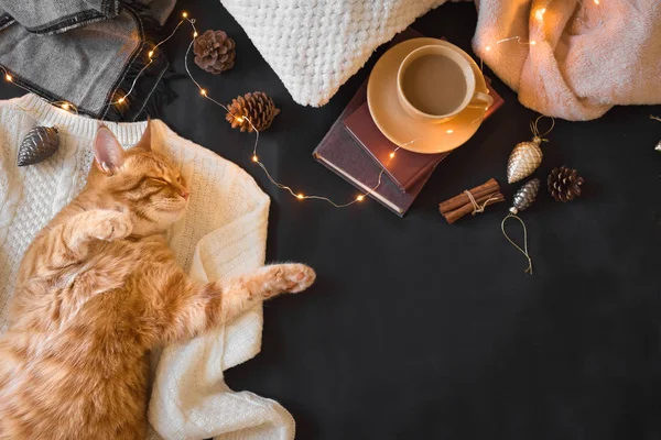 ジンジャー猫とクリスマス気分 — ストック写真