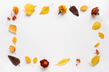 Sonbahar yaprakları ve çiçekleri