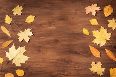 Sarı yapraklar düz yatıyordu