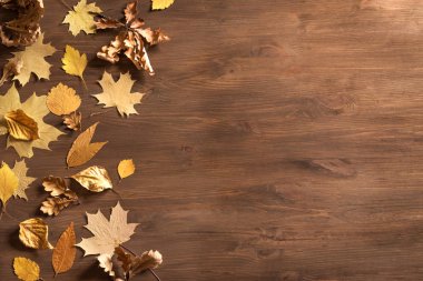 Sarı yapraklar düz yatıyordu