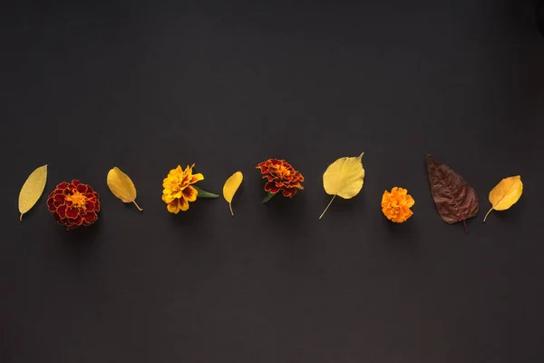 Hojas y flores otoñales — Foto de Stock