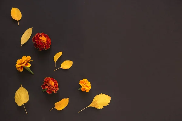 Осенние листья и цветы — стоковое фото