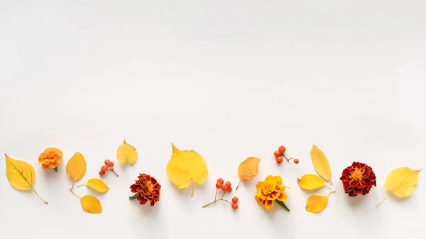 Hojas y flores otoñales — Foto de Stock