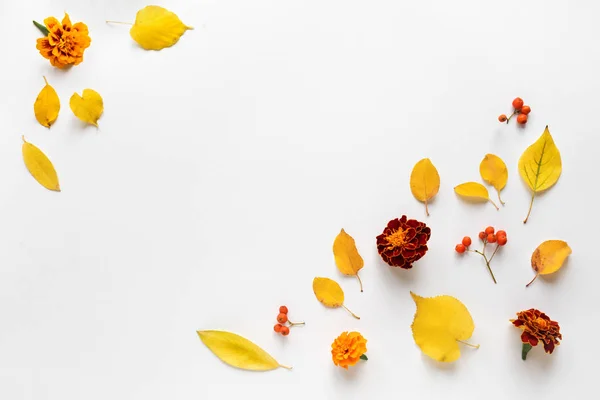 Jesienne liście i kwiaty — Zdjęcie stockowe