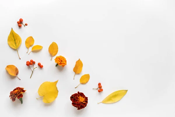 Podzimní listí a květiny — Stock fotografie