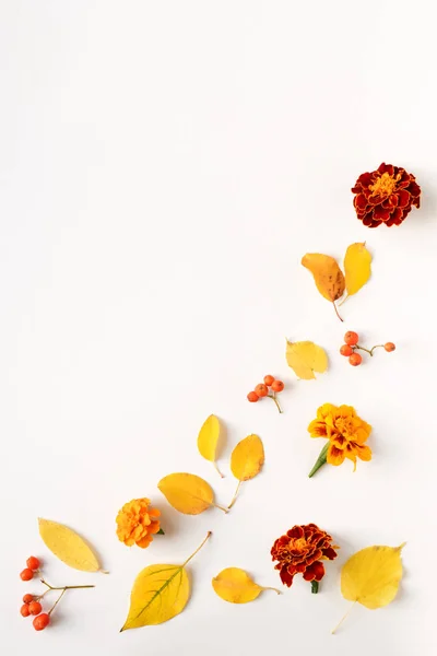 Herfst bladeren en bloemen — Stockfoto