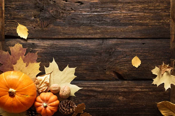 Autumní složení: dýně a listí — Stock fotografie