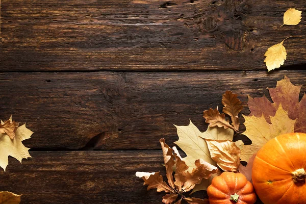 Herbstliche Zusammensetzung: Kürbisse und Blätter — Stockfoto