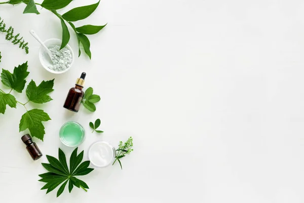 Plantaardige Cosmetische Producten Natuurlijke Organische Huidverzorging Concept Creatieve Lay Out — Stockfoto