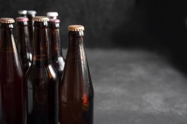 Siyah arka planda soğuk bira şişeleri, kopyalama alanı. Tercih için taze soğuk bira. 