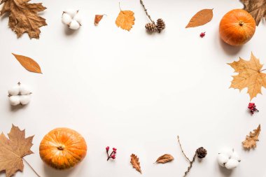 Sonbahar kompozisyonu - balkabakları, sonbahar yaprakları, beyaz arka planda pamuk, yaratıcı düz döşeme, üst manzara, kopyalama alanı. Mevsimlik sonbahar konsepti.