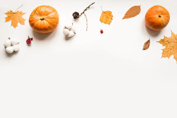 Composición Otoñal Calabazas Hojas Otoño Algodón Sobre Fondo Blanco Puesta — Foto de Stock