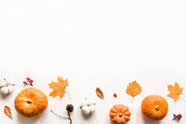 Осенняя Композиция Тыквы Осенние Листья Сосновые Шишки Выделенные Белом Фоне — стоковое фото