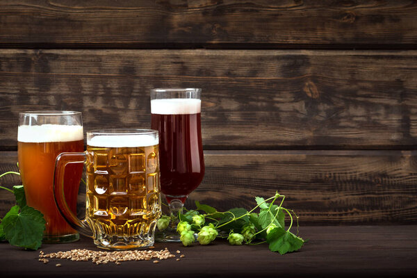 Различные сорта разливного пива в стаканах и кружка на деревянном столе, копировальное место. Свежее пиво с хмелем и солодом.