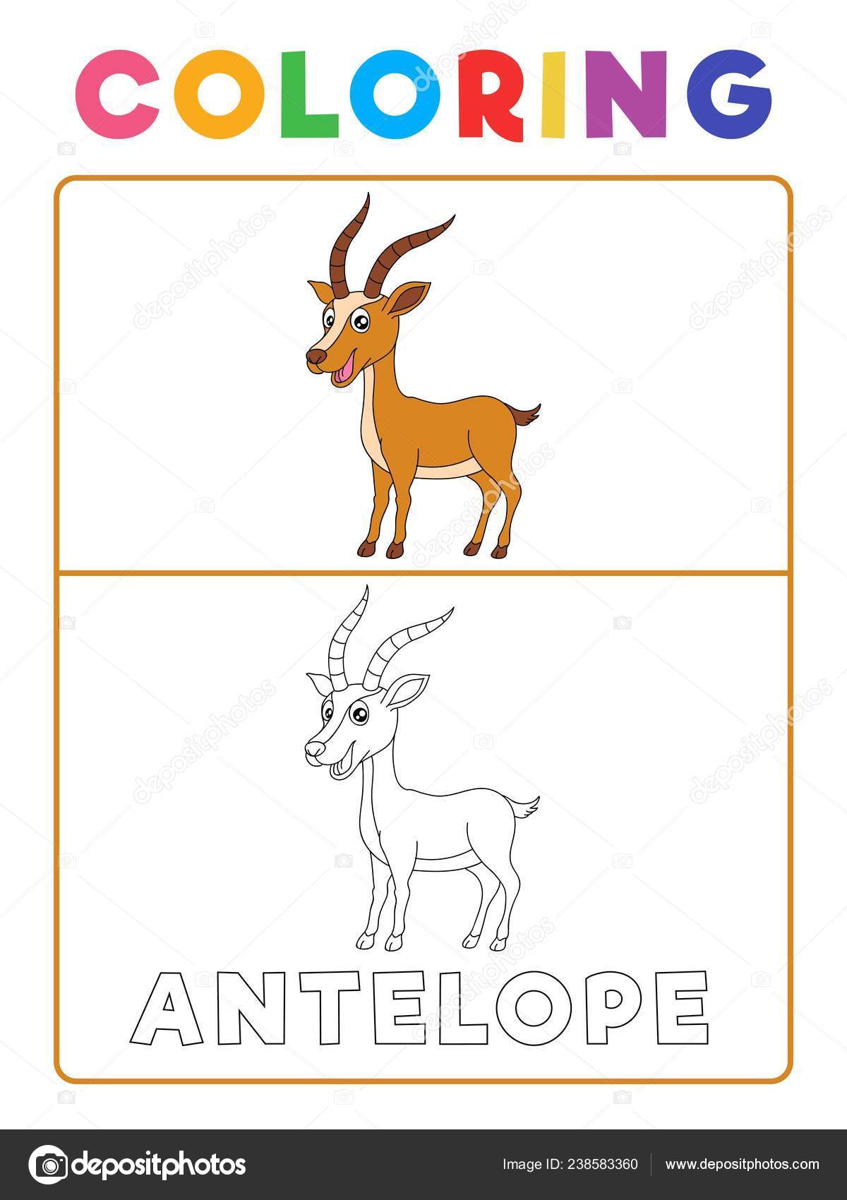 54+ Coloring Book Deer Pictures Picture HD 54+ Coloring Book Deer Pictures Picture HD