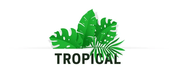 Tropical Leaf Vector Illustration Typography Text Plantilla Banner Fondo Limpio — Archivo Imágenes Vectoriales