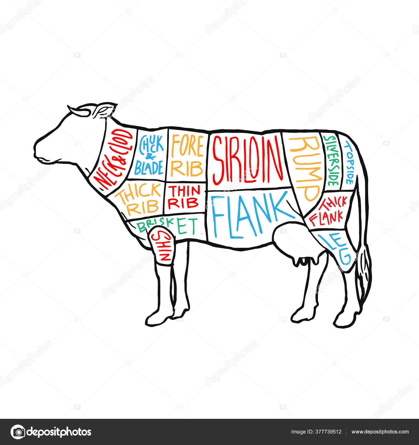 Reino Unido Carne Cortes Diagrama Diseño Póster Esquema Carne Res Vector de  stock #377739512 de ©mnaufal, image size:1600x1700
