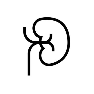 Böbrek organ ikonu tasarımı. çizgi sanatı tıbbi sağlık vektörü çizimi