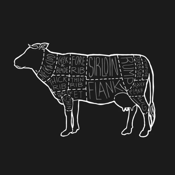 Meat Cuts Diagram Poster Design Beef Scheme Butcher Shop Vector — Stock Vector