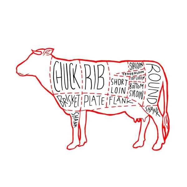 American Meat Tnie Diagram Projekt Plakatu Schemat Wołowiny Dla Ilustracji — Wektor stockowy