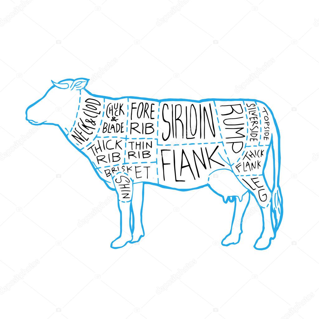 UK Meat cuts diagram poster design. Beef scheme for butcher shop vector illustration. Cow animal silhouette vintage retro hand drawn style graphic.