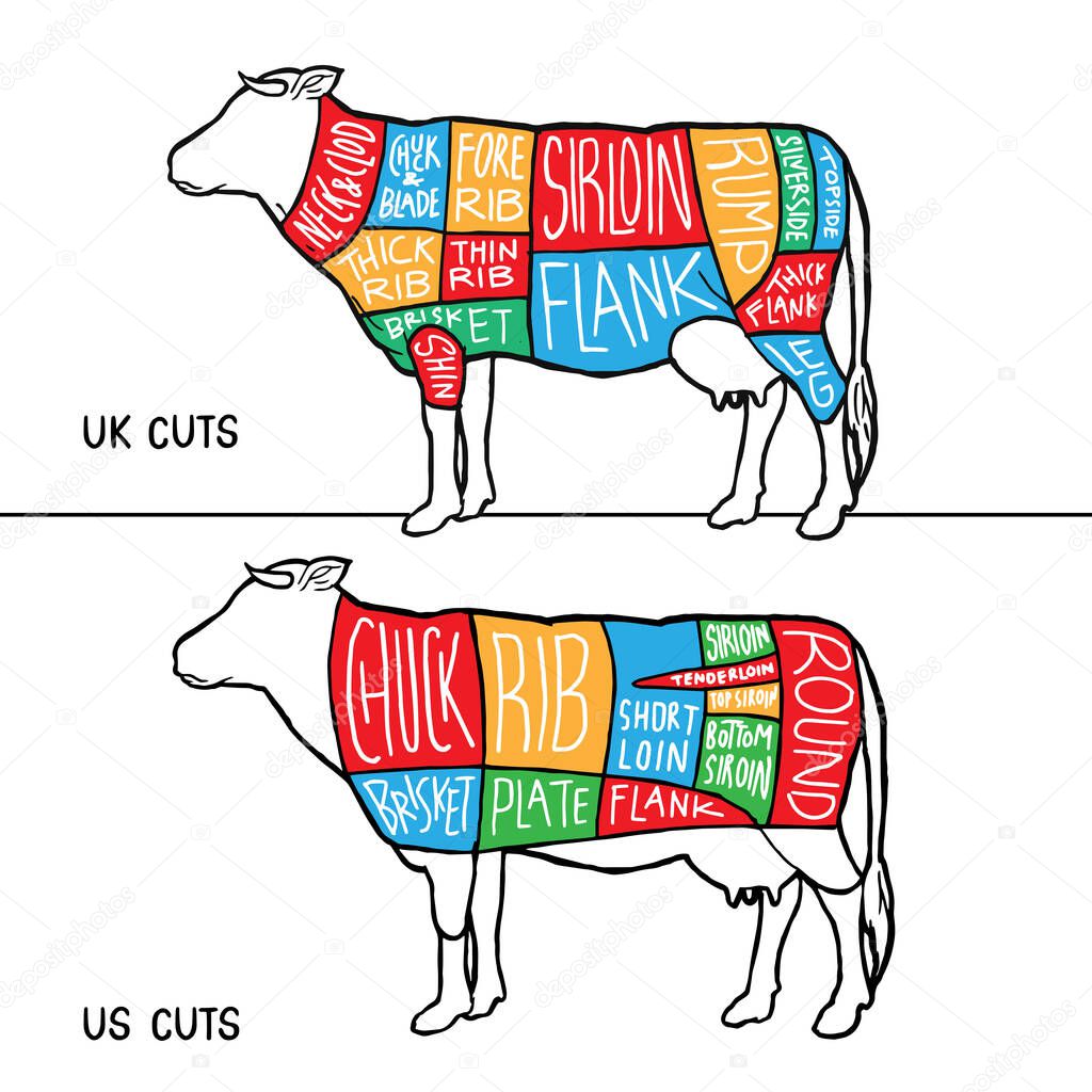 UK US Colorful Meat cuts diagram poster design. Beef scheme for butcher shop vector illustration. Cow animal silhouette vintage retro hand drawn style graphic.