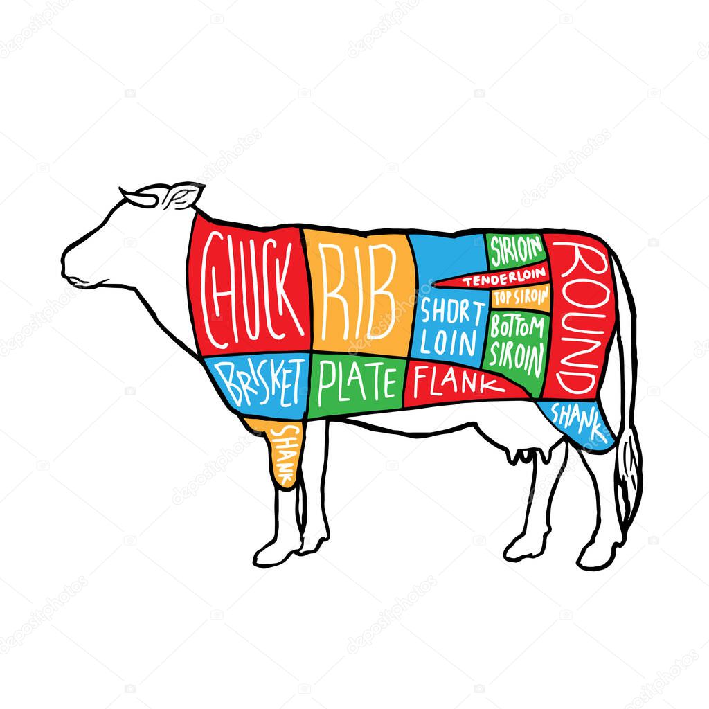 American colorful Meat cuts diagram poster design. Beef scheme for butcher shop vector illustration. Cow animal silhouette vintage retro hand drawn style graphic.