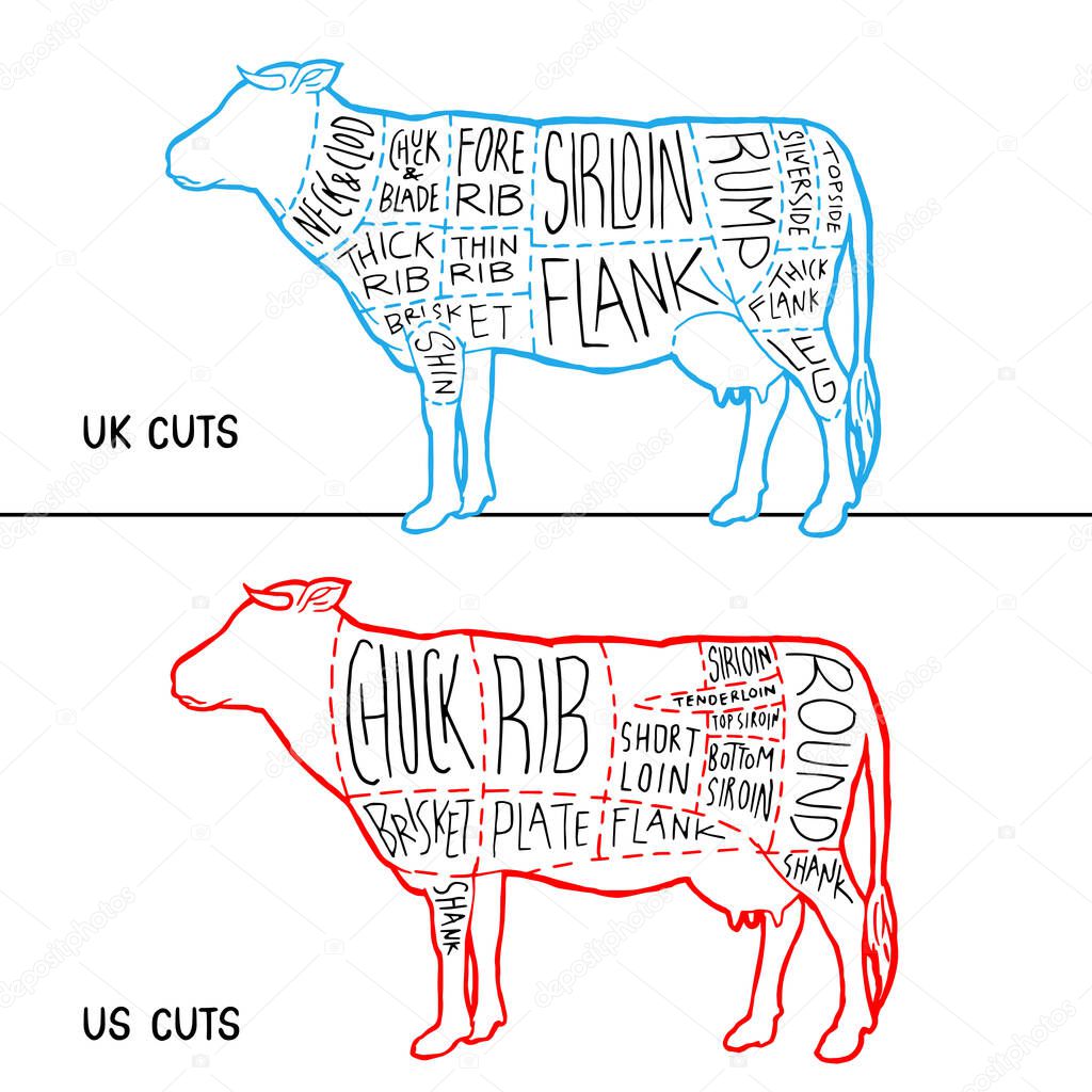 Meat cuts diagram poster design. Beef scheme for butcher shop vector illustration. Cow animal silhouette vintage retro hand drawn style graphic.
