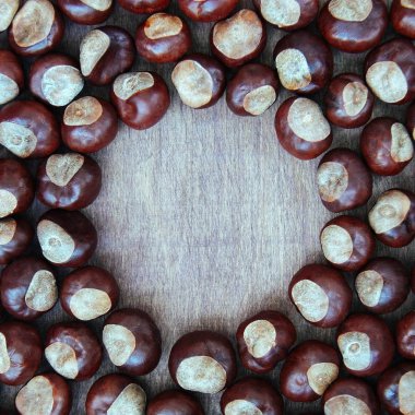 Eski ahşap arka plan üzerinde olgunlaşmış kestane ile kopya alanı kapatın. Üstten görünüm Meydanı