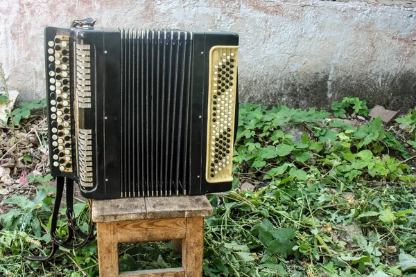 Gamla vintage klassiska musikinstrument dragspel på en sluskig trä pall på gården i ett hus mot en vit vägg och gräs — Stockfoto