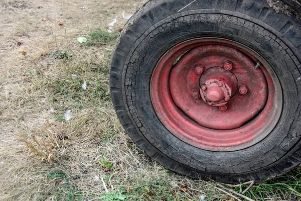 Rotes Rad Eines Alten Traktors Auf Dem Dorfplatz Herbsterntezeit Frontansicht — Stockfoto