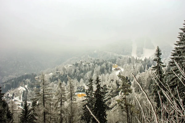 Winter Wonderland Górskiej Scenerii Wieków Świerk Sosna Austriackich Alpach Góry — Zdjęcie stockowe