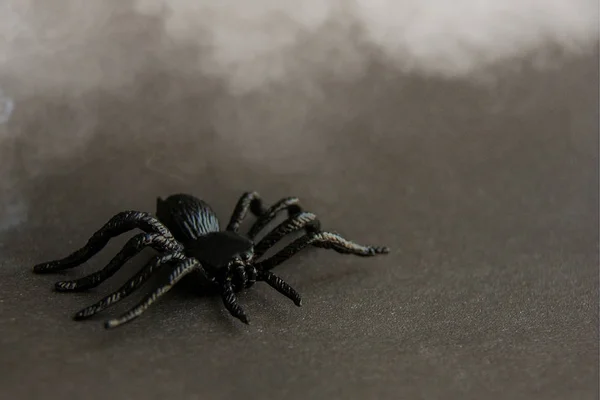 Černá Gumová Hračka Pavouk Pozadí Bílý Kouř Tmavě Halloween Října — Stock fotografie