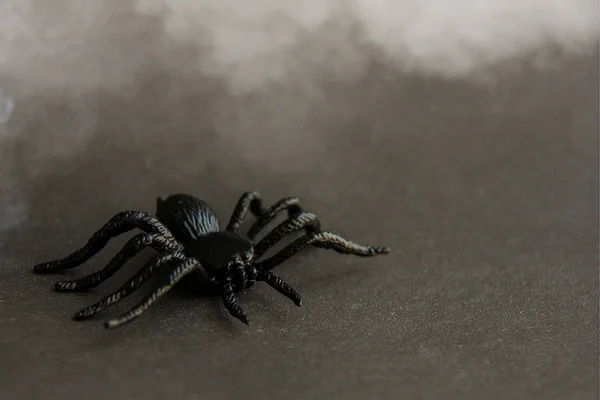 Jouet Araignée Caoutchouc Noir Sur Fond Papier Avec Fumée Blanche — Photo