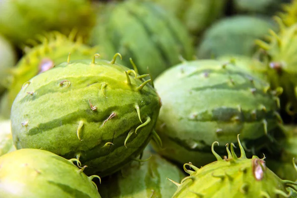 Cucumis Anguria Cackrey Maroon Cucumber West Indian Gherkin West Indian — Stock Photo, Image