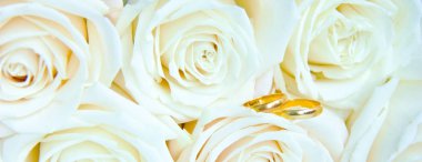 Güzel taze beyaz gül altın yüzük, düğün kavramı ön ile görüntüleyin. Web afiş