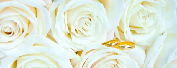美丽的新鲜白玫瑰与金戒指 婚礼概念的正面看法 网页横幅 — 图库照片