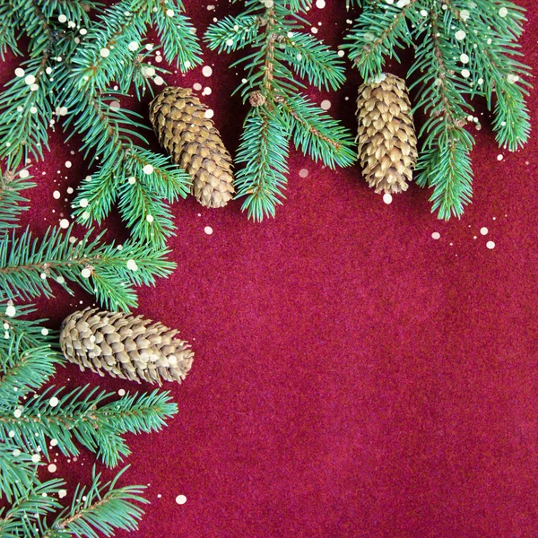 Weihnachtsdekoration Hintergrund Mit Tannenzapfen Und Schneeflocken Der Nähe Von Frischen — Stockfoto