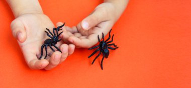 Arka plan siyah kauçuk örümcekler oyuncaklar portakal ile oynayan bir çocuk elinde kağıt. Cadılar Bayramı Ekim kavramı. Önden görünüm, Web afiş yakından