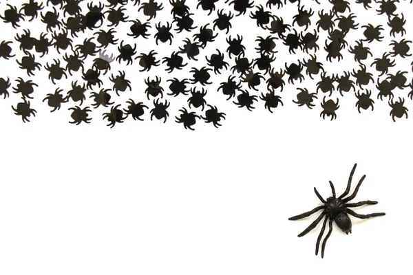 Tarjeta Conceptual Halloween Arañas Aisladas Sobre Fondo Papel Blanco Vista —  Fotos de Stock