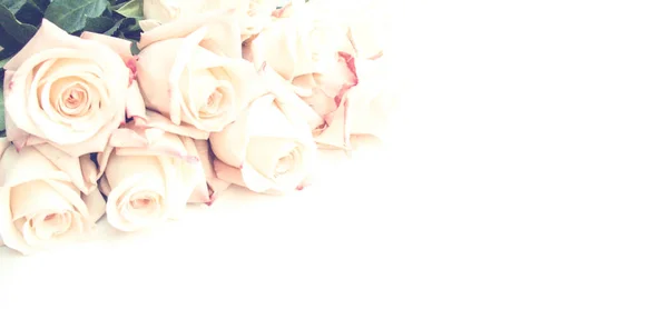 Criativo Fresco Belas Rosas Azuis Pinh Deitado Fundo Papel Com — Fotografia de Stock