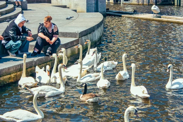 Piękny widok na historyczne centrum Hamburga z ratusza i jeziora Alster — Zdjęcie stockowe